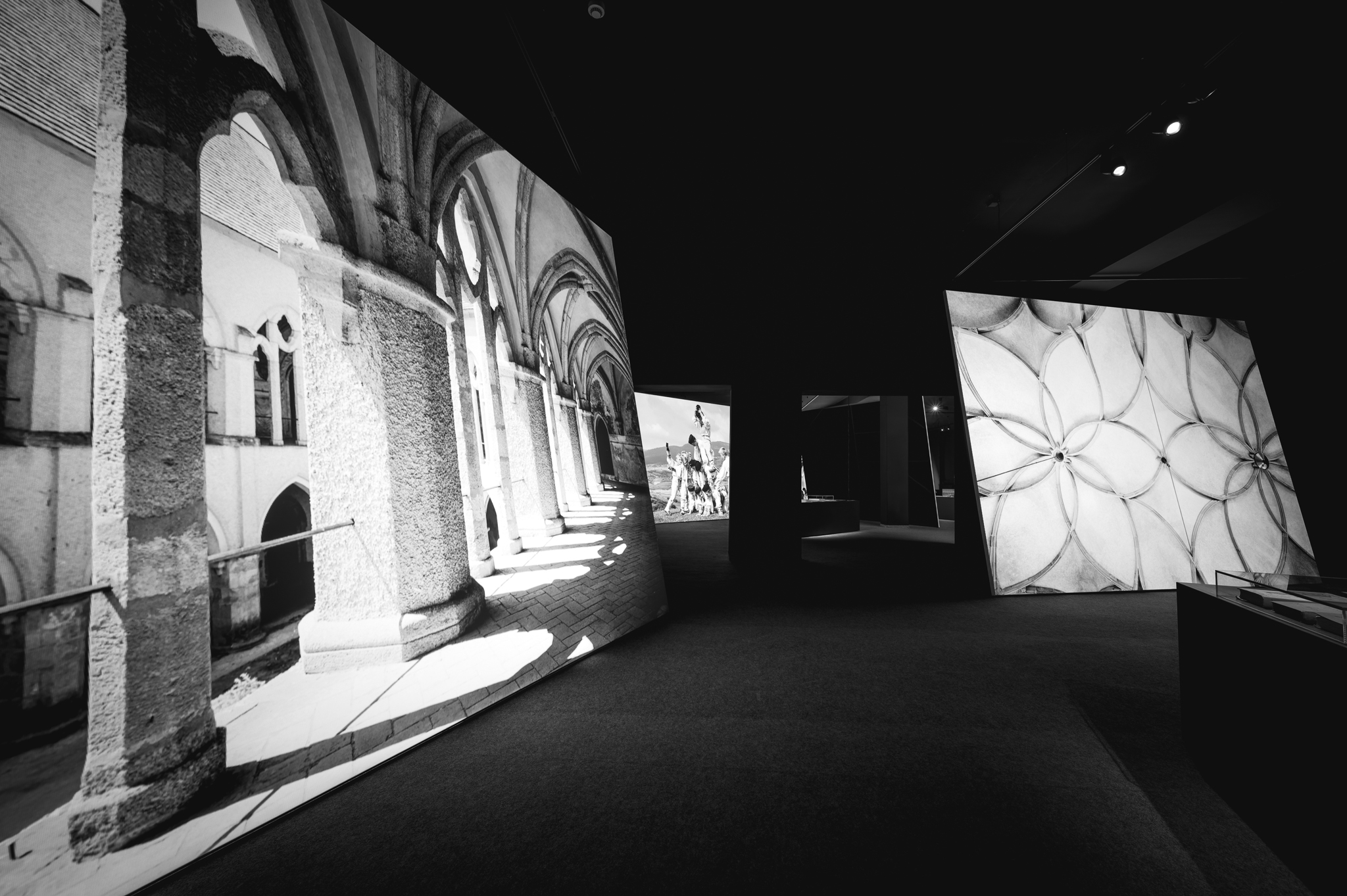 NZ6 2318 DxO DeepPRIME XD2s